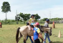 Equoterapia auxilia no tratamento de crianças com autismo em Rio Branco