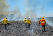 Governo do Acre lança edital para brigadistas comunitários em unidades de conservação