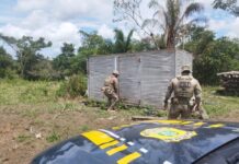 PRF apreende quase 5 mil maços de cigarros contrabandeados em Plácido de Castro