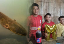 Peixe-elétrico ou fio desencapado podem ter matado adolescentes no Acre, diz médico