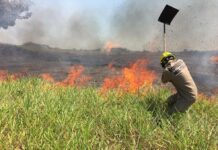 Acre registra apenas quatro focos de queimadas no primeiro trimestre de 2026, aponta Inpe